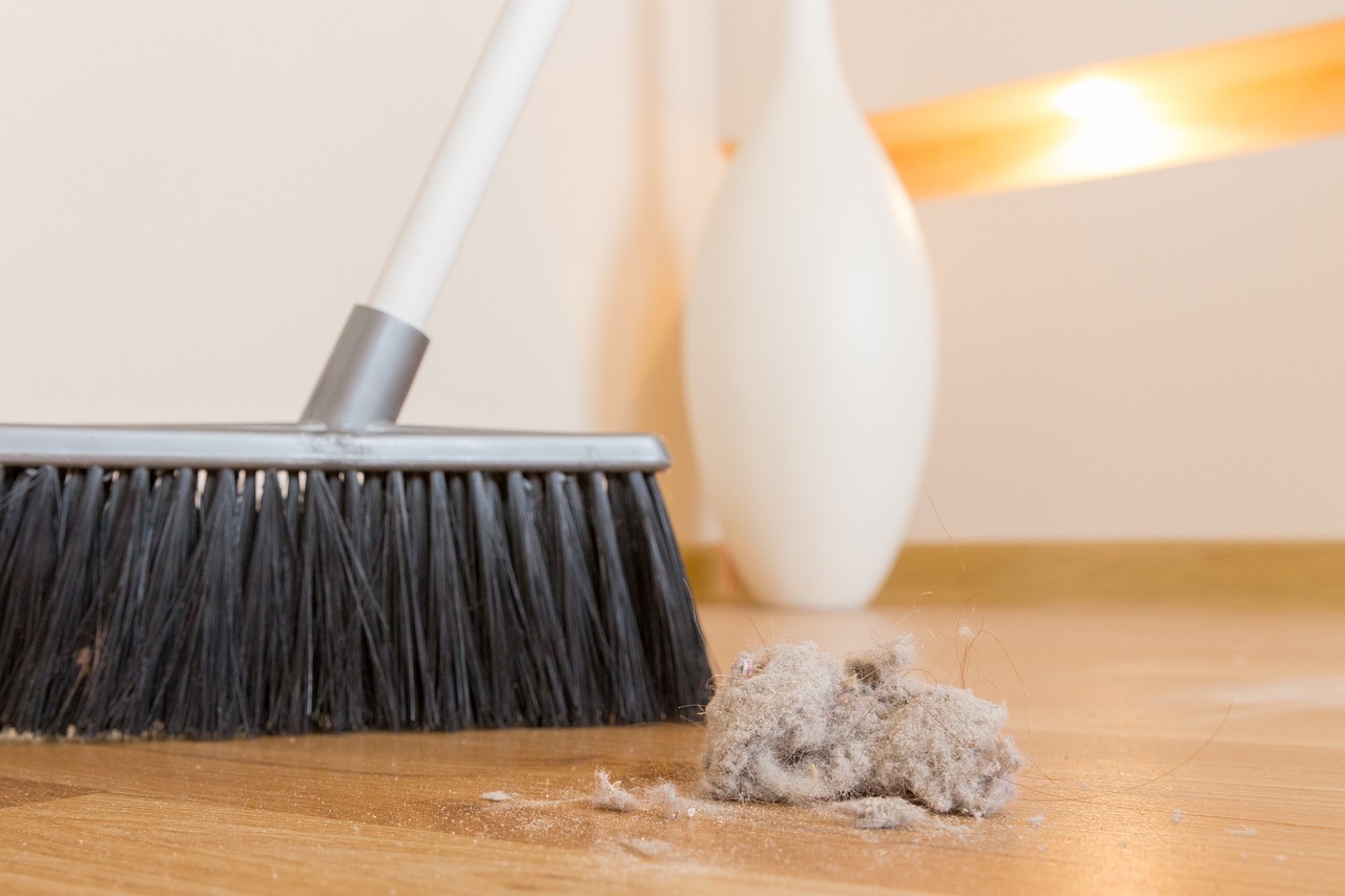 broom, dirt, dust-6786525.jpg